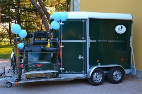 Van porte calèche occasion sales
